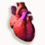 Cardiovascular