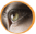 Vision Support